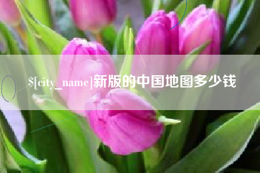 荣成新版的中国地图多少钱