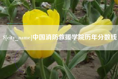 荣成中国消防救援学院历年分数线