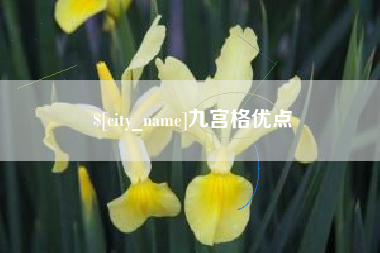 荣成九宫格优点
