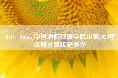 荣成中国消防救援学院山东2020年录取分数线是多少