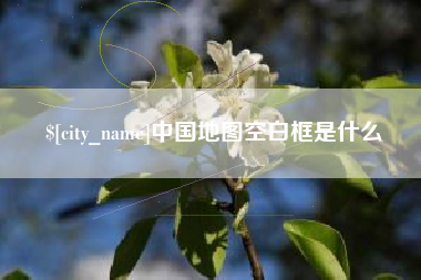 荣成中国地图空白框是什么