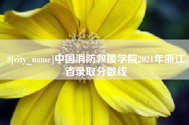荣成中国消防救援学院2021年浙江省录取分数线
