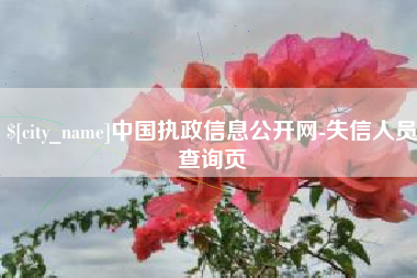 荣成中国执政信息公开网-失信人员查询页