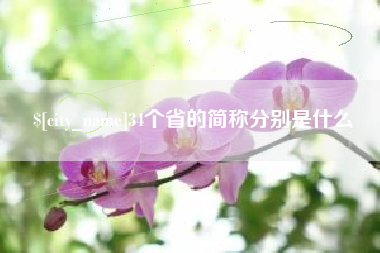 荣成34个省的简称分别是什么