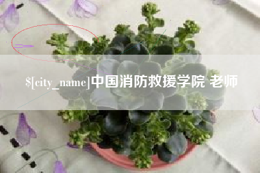 荣成中国消防救援学院 老师