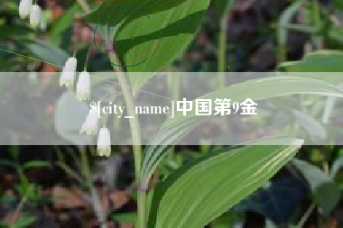 荣成中国第9金