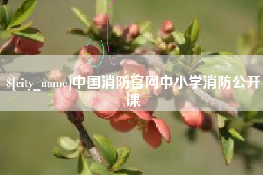 荣成中国消防官网中小学消防公开课