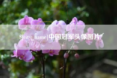 荣成中国冠军头像图片