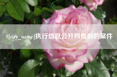 荣成执行信息公开网查到的案件