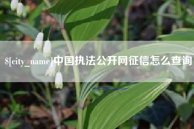 荣成中国执法公开网征信怎么查询