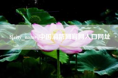荣成中国消防网官网入口网址