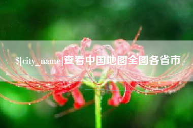 荣成查看中国地图全图各省市