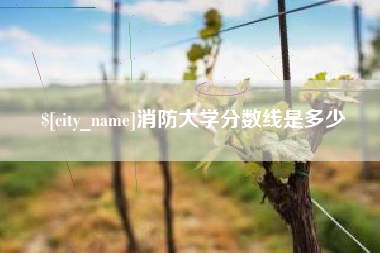 荣成消防大学分数线是多少