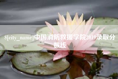 荣成中国消防救援学院2019录取分数线