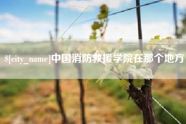 荣成中国消防救援学院在那个地方