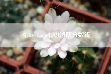 荣成2021消防分数线
