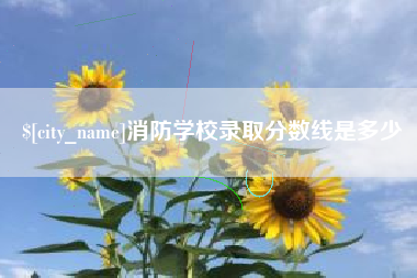 荣成消防学校录取分数线是多少