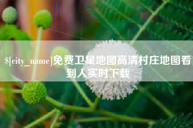 荣成免费卫星地图高清村庄地图看到人实时下载