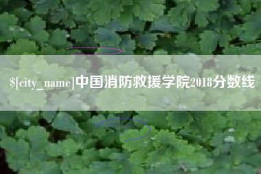 荣成中国消防救援学院2018分数线
