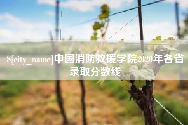 荣成中国消防救援学院2020年各省录取分数线