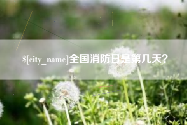 荣成全国消防日是第几天？