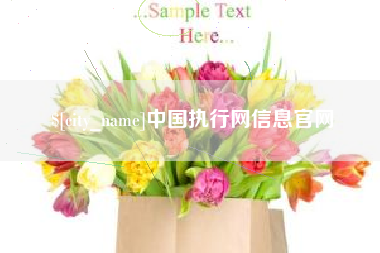 荣成中国执行网信息官网