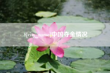 荣成中国夺金情况