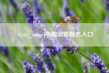荣成中国消防报名入口