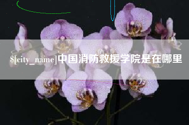 荣成中国消防救援学院是在哪里