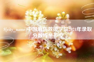 荣成中国消防救援学院2024年录取分数线是多少