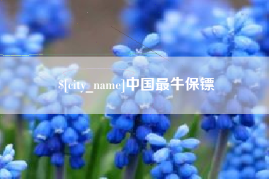 荣成中国最牛保镖