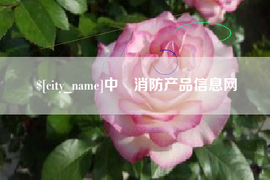 荣成中囯消防产品信息网
