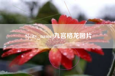 荣成九宫格龙图片