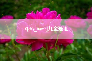 荣成九金是谁
