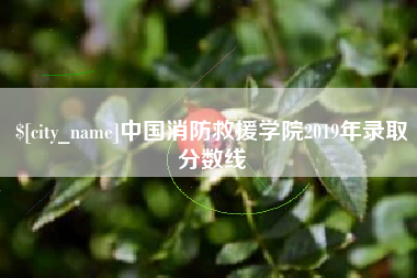 荣成中国消防救援学院2019年录取分数线