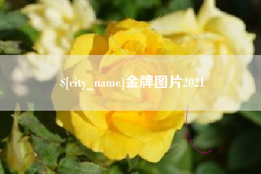 荣成金牌图片2021