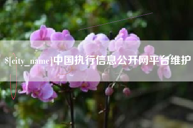 荣成中国执行信息公开网平台维护