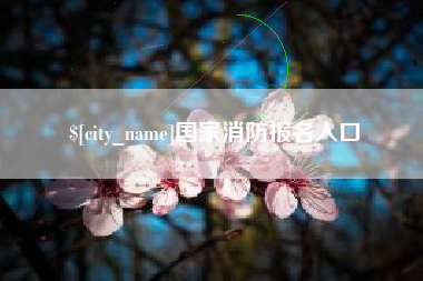 荣成国家消防报名入口