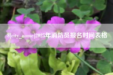 荣成2025年消防员报名时间表格