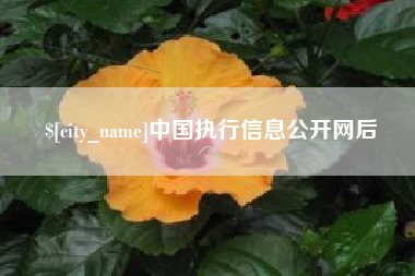荣成中国执行信息公开网后