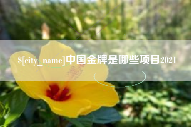 荣成中国金牌是哪些项目2021