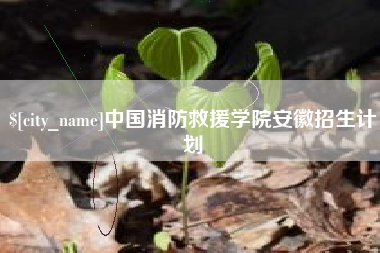 荣成中国消防救援学院安徽招生计划