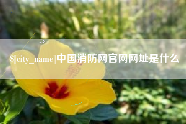荣成中国消防网官网网址是什么