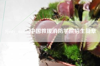荣成中国救援消防学院招生简章