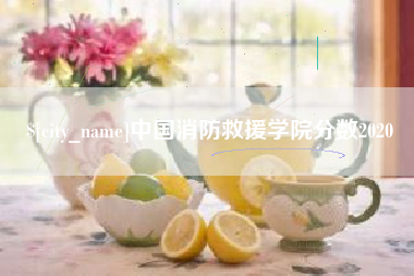 荣成中国消防救援学院分数2020