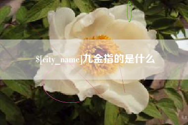 荣成九金指的是什么
