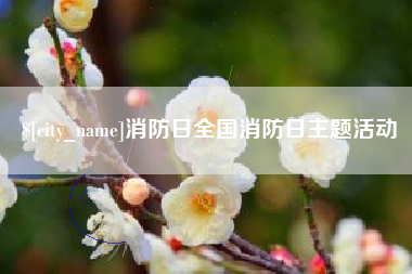 荣成消防日全国消防日主题活动