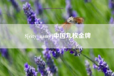 荣成中国九枚金牌