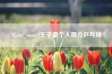荣成王子豪个人简介乒乓球