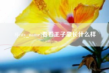 荣成看看王子豪长什么样